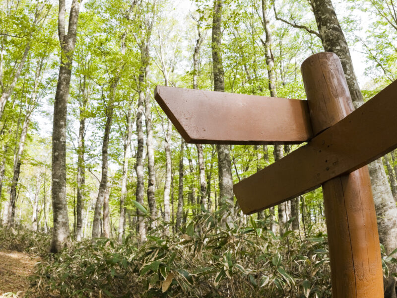 Abandonment in North Carolina