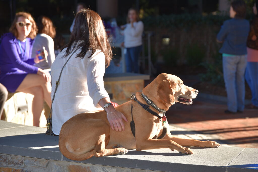 Smith Debnam Employee Appreciation - 2016