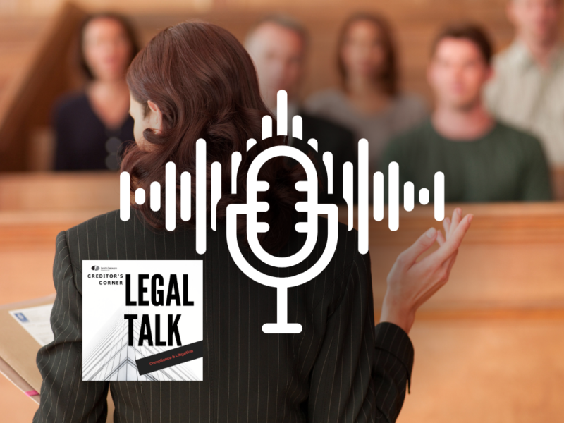Unpacking the Real-World Challenges of Litigating Against Pro Se Litigants